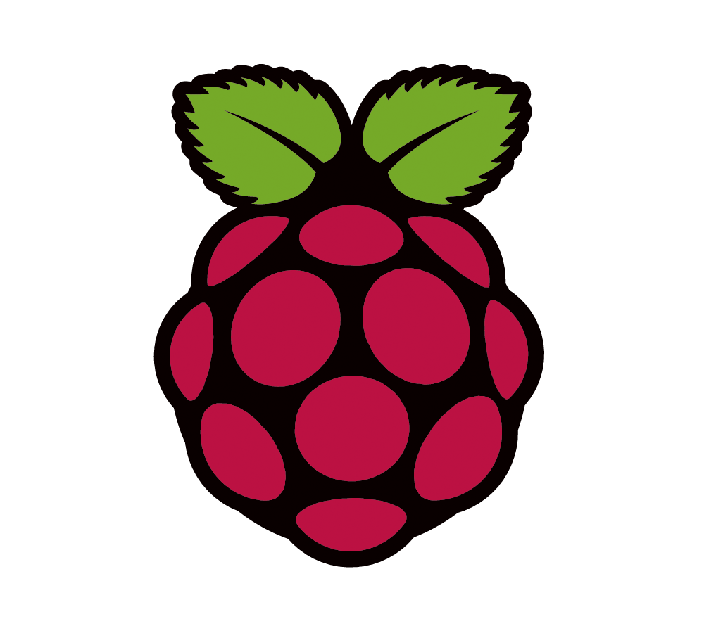 Raspberry Pi icon