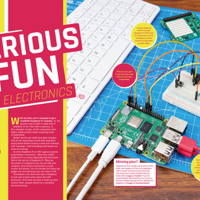 دليل راسبيري باي الرسمي 2024 image