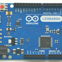 اردوينو ليوناردو image