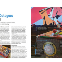 دليل راسبيري باي الرسمي 2024 image