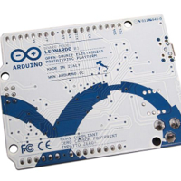 اردوينو ليوناردو image