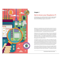كتاب الدليل الرسمي للمبتدئين في راسبيري باي الإصدار الخامس image